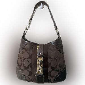 Vintage Y2K Brown Coach
Hampton Python Hobo Bag#10260